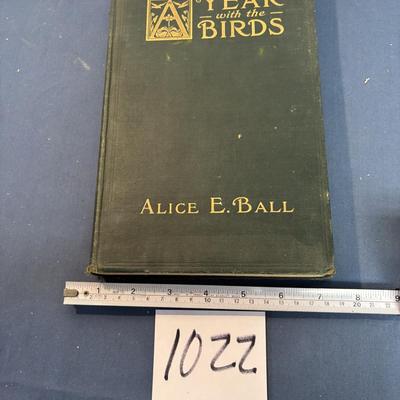 Year of the Birds