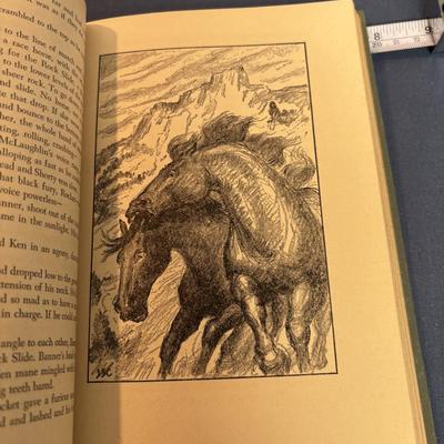 My Friend Flicka Book