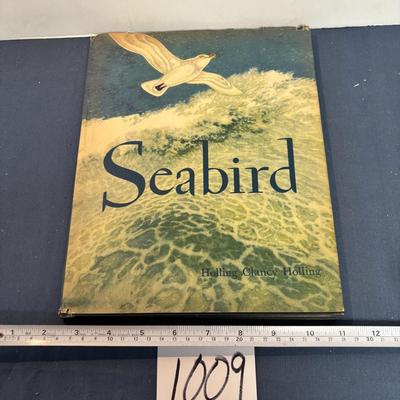 Seabird