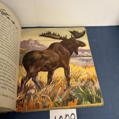 Wild Animals as I Know Them