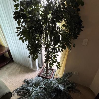 Artificial ficus tree And two artificial fern plants.