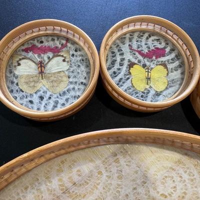 Pressed Butterfly Taxidermy Tray Coaster Set