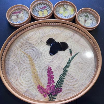 Pressed Butterfly Taxidermy Tray Coaster Set