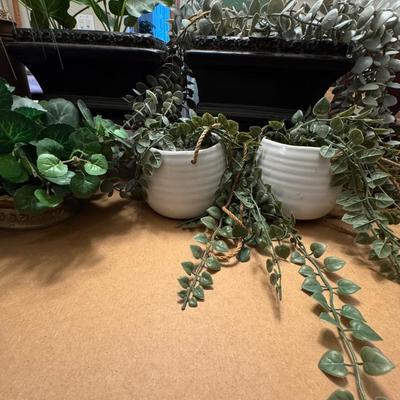 Artificial plants.