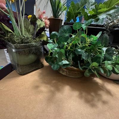 Artificial plants.