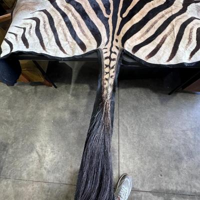 Zebra Hide Rug Huge 112" x 82" - Grade A hide