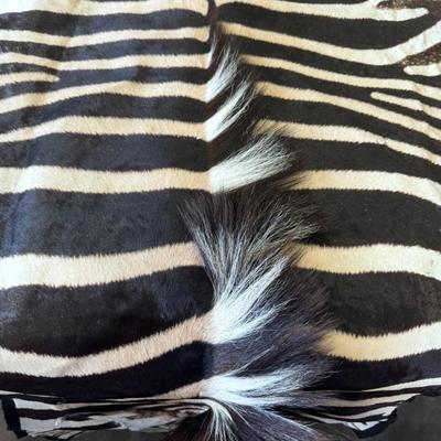 Zebra Hide Rug Huge 112" x 82" - Grade A hide