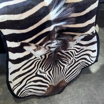 Zebra Hide Rug Huge 112" x 82" - Grade A hide