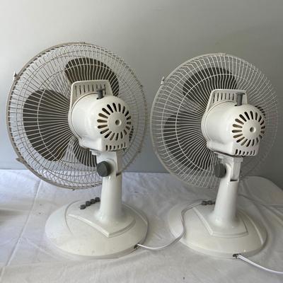 Lasko & Lakewood Oscillating Fans (G-MG)