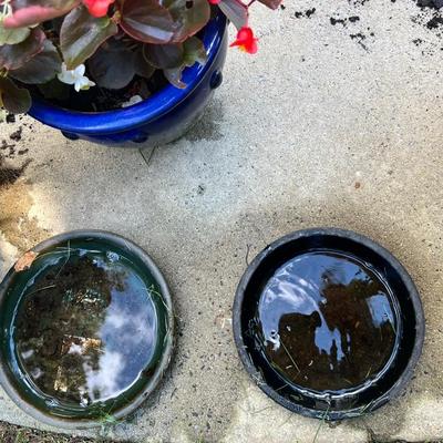 Cobalt Blue Glazed Pots With Plants & More (SR-RG)