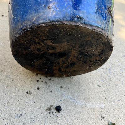 Cobalt Blue Glazed Pots With Plants & More (SR-RG)