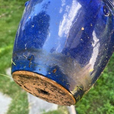 Cobalt Blue Glazed Pots With Plants & More (SR-RG)