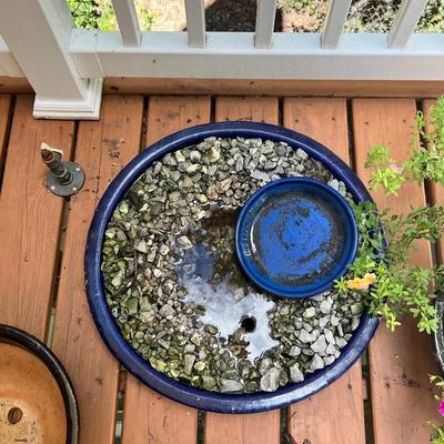 Cobalt Blue Glazed Pots With Plants & More (SR-RG)