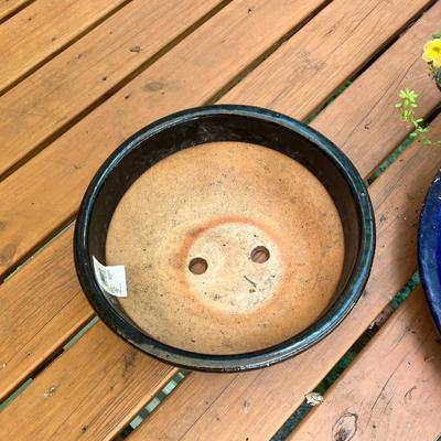 Cobalt Blue Glazed Pots With Plants & More (SR-RG)