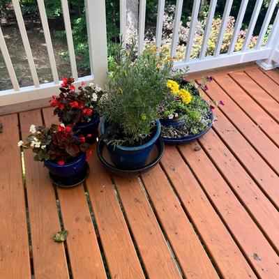 Cobalt Blue Glazed Pots With Plants & More (SR-RG)