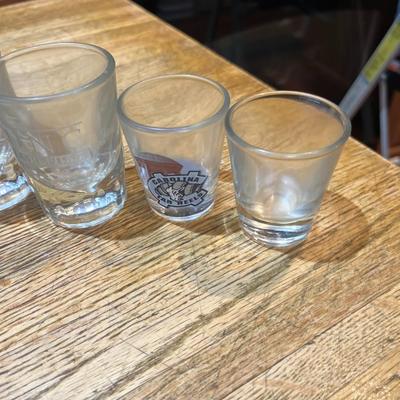 Shot Glass Collection (14) (K)