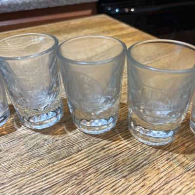 Shot Glass Collection (14) (K)