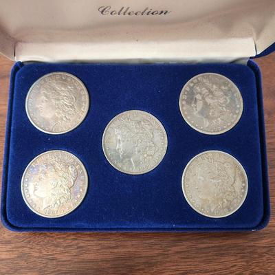 Lot of 5 Morgan Sliver Dollars in Case