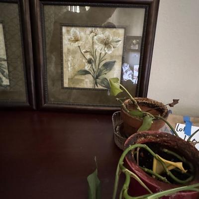 The artworks in the image is a floral print titled "Captive Beauty" by artist Dennis Carney.