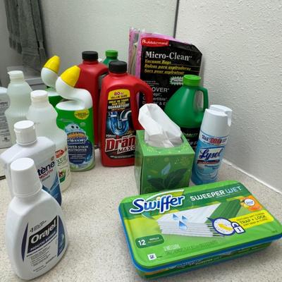 Collection of common household cleaning and personal care products.