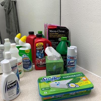 Collection of common household cleaning and personal care products.