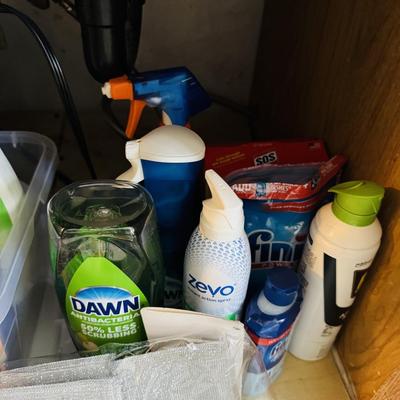 Kitchen cleaning supplies.