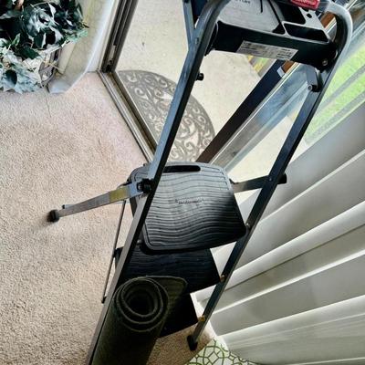 Folding step ladder or step stool with rug,