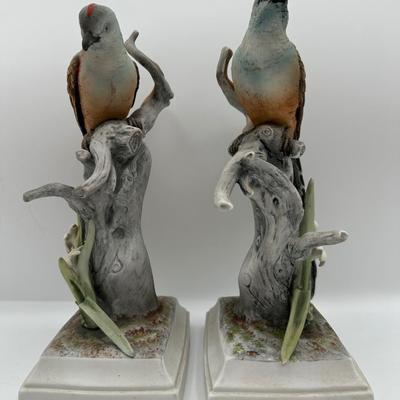 Pair of Scissor-Tailed Flycatcher Bird by ANDREA