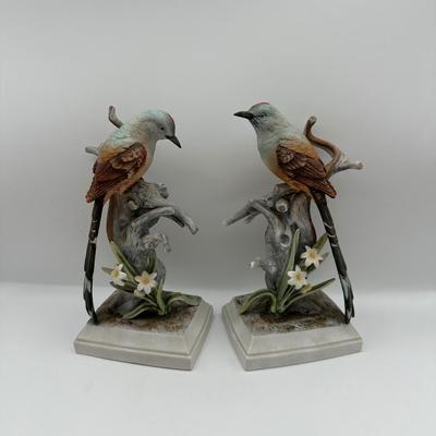 Pair of Scissor-Tailed Flycatcher Bird by ANDREA