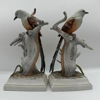 Pair of Scissor-Tailed Flycatcher Bird by ANDREA