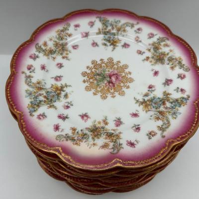 Antique Haviland Limoges France Plates – Set of 10