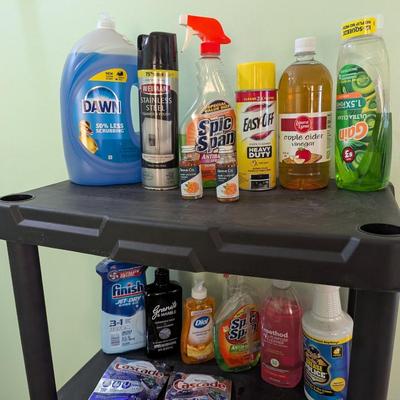 Kitchen Cleaning Supplies #3 (BAR)