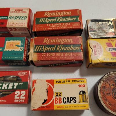 .22 Cartridges and Ammo Box (K-EL)