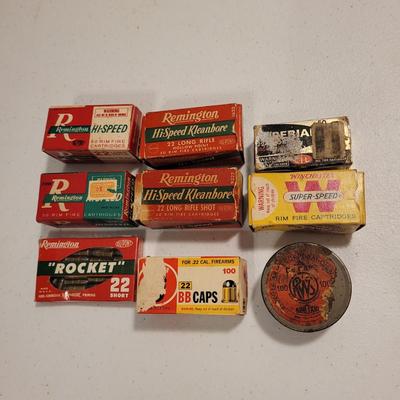 .22 Cartridges and Ammo Box (K-EL)