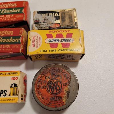 .22 Cartridges and Ammo Box (K-EL)