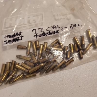 .22 Cartridges and Ammo Box (K-EL)