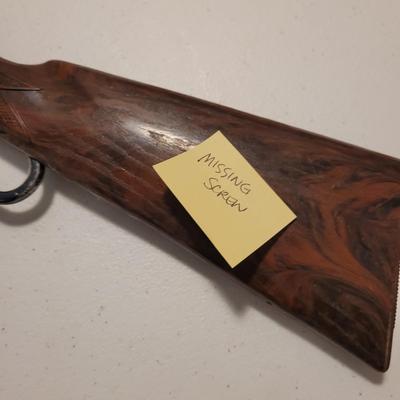 Air Guns and Accessories (B3-EL)