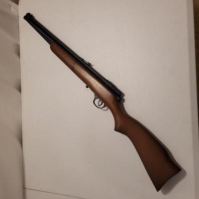 Air Guns and Accessories (B3-EL)