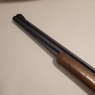 Air Guns and Accessories (B3-EL)