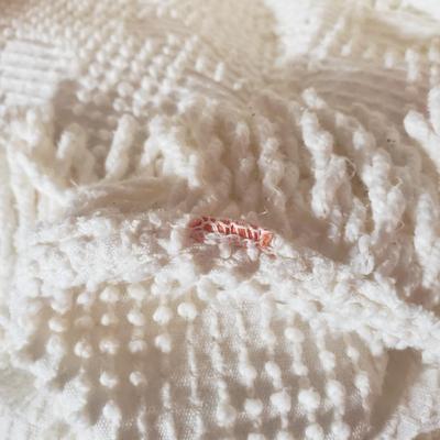Two Vintage Queen Size Fringe Bedspreads (B3-KD)