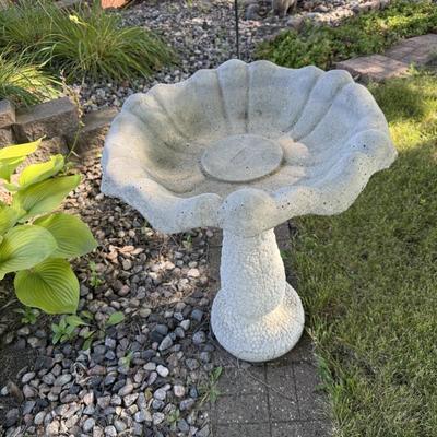 Concrete Bird Bath