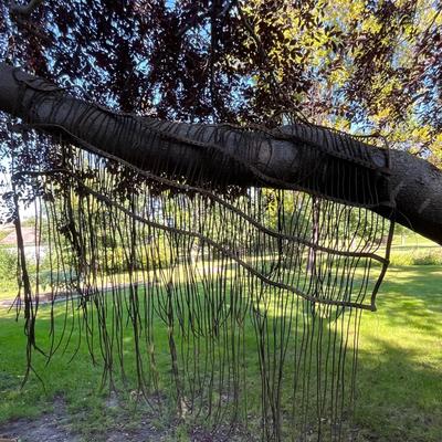 Horse Fly Net