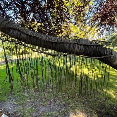 Horse Fly Net