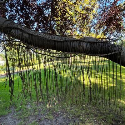 Horse Fly Net