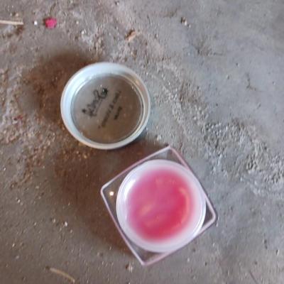 SCENTSY WAX MELT TESTERS