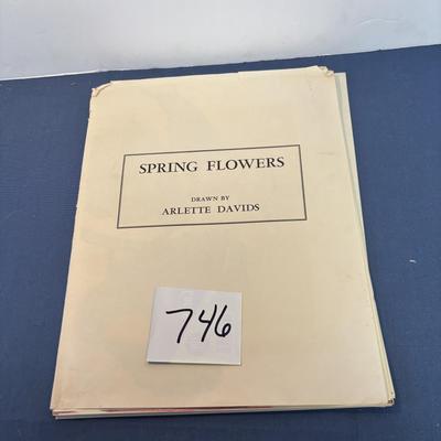 Spring Flower Drawings