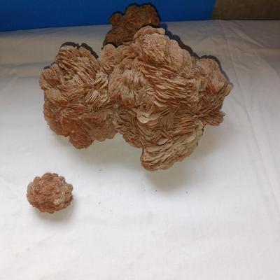 DESERT ROSE SELENITE