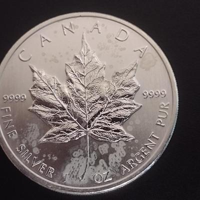 2011 Elizabeth II Canadian $5 Silver 1oz Coin (#92)