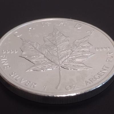 2011 Elizabeth II Canadian $5 Silver 1oz Coin (#92)