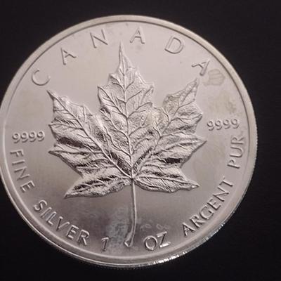 2011 Elizabeth II Canadian $5 Silver 1oz Coin (#93)